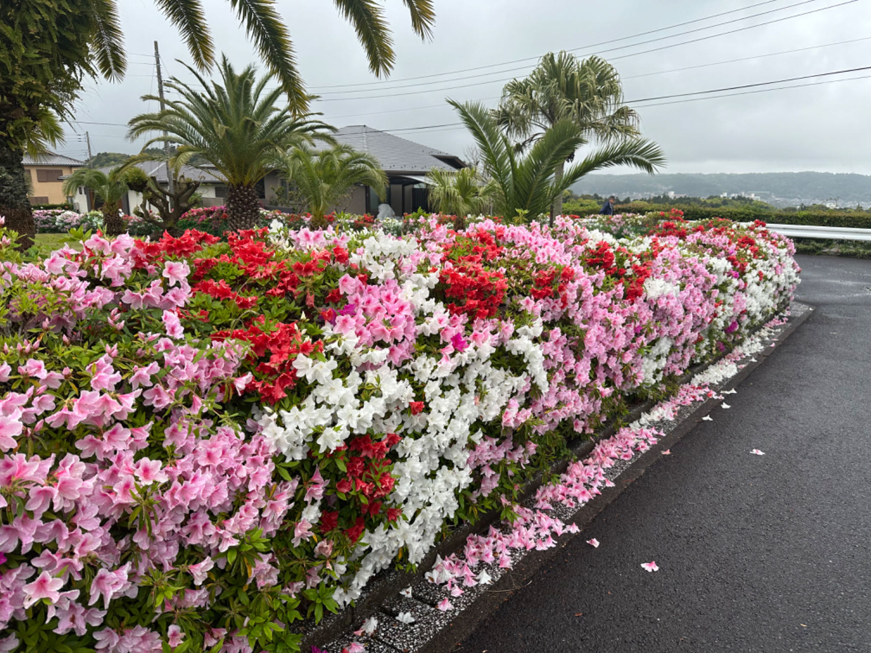 微信图片_20240702115908